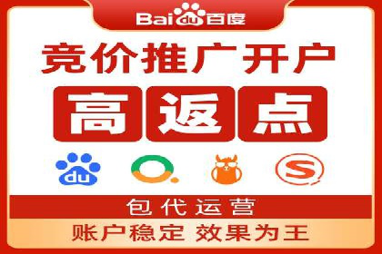 深度解析：竞价推广公司经典案例